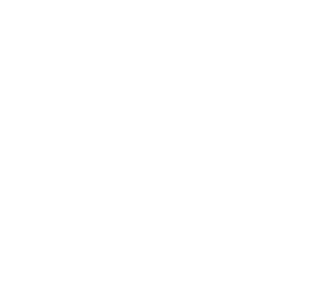 CTRC - Certified Tax Representation Consultant seal