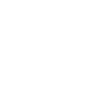CTRC Resolution track seal