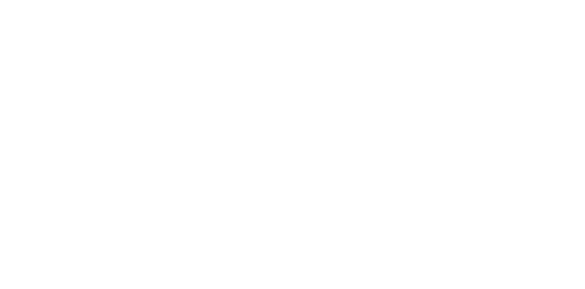 Green & Sklarz LLC